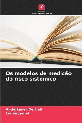 bokomslag Os modelos de medio do risco sistmico