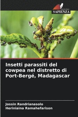 Insetti parassiti del cowpea nel distretto di Port-Berg, Madagascar 1
