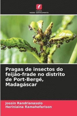 Pragas de insectos do feijo-frade no distrito de Port-Berg, Madagscar 1