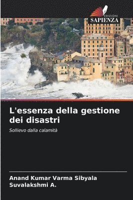 L'essenza della gestione dei disastri 1