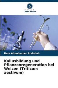 bokomslag Kallusbildung und Pflanzenregeneration bei Weizen (Triticum aestivum)
