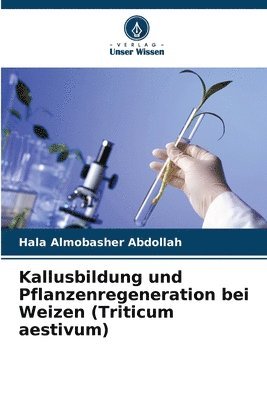 Kallusbildung und Pflanzenregeneration bei Weizen (Triticum aestivum) 1
