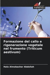 bokomslag Formazione del callo e rigenerazione vegetale nel frumento (Triticum aestivum)