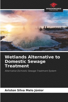 bokomslag Wetlands Alternative to Domestic Sewage Treatment