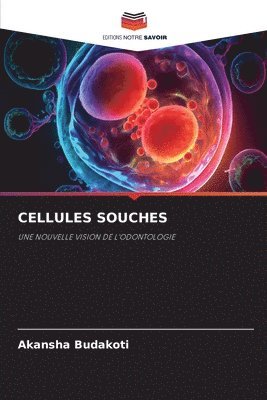 Cellules Souches 1
