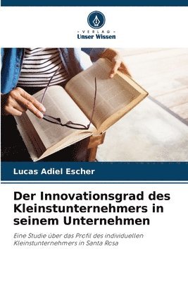 Der Innovationsgrad des Kleinstunternehmers in seinem Unternehmen 1