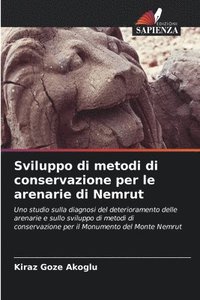 bokomslag Sviluppo di metodi di conservazione per le arenarie di Nemrut