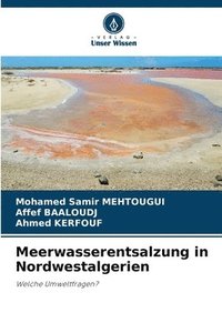 bokomslag Meerwasserentsalzung in Nordwestalgerien