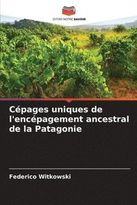 bokomslag Cpages uniques de l'encpagement ancestral de la Patagonie