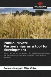 bokomslag Public-Private Partnerships as a tool for development