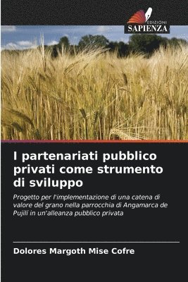 I partenariati pubblico privati come strumento di sviluppo 1
