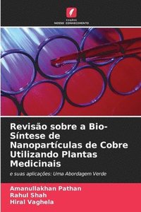 bokomslag Reviso sobre a Bio-Sntese de Nanopartculas de Cobre Utilizando Plantas Medicinais