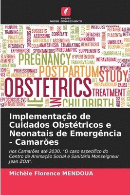 Implementao de Cuidados Obsttricos e Neonatais de Emergncia - Camares 1