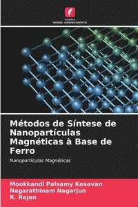bokomslag Mtodos de Sntese de Nanopartculas Magnticas  Base de Ferro