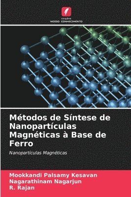 Mtodos de Sntese de Nanopartculas Magnticas  Base de Ferro 1