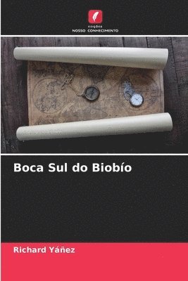 Boca Sul do Biobo 1