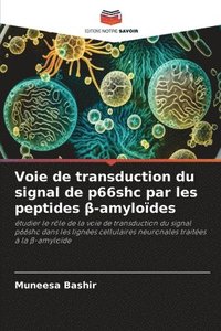 bokomslag Voie de transduction du signal de p66shc par les peptides &#946;-amylodes