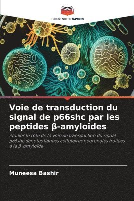 Voie de transduction du signal de p66shc par les peptides &#946;-amylodes 1