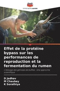 bokomslag Effet de la protine bypass sur les performances de reproduction et la fermentation du rumen