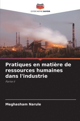 bokomslag Pratiques en matire de ressources humaines dans l'industrie