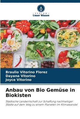 Anbau von Bio Gemse in Biokisten 1