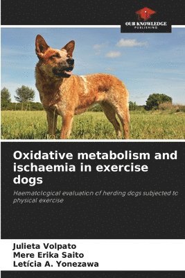 bokomslag Oxidative metabolism and ischaemia in exercise dogs