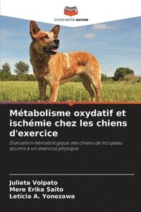 bokomslag Mtabolisme oxydatif et ischmie chez les chiens d'exercice