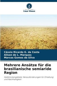 bokomslag Mehrere Anstze fr die brasilianische semiaride Region