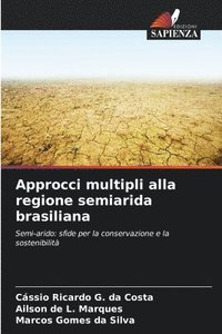 bokomslag Approcci multipli alla regione semiarida brasiliana