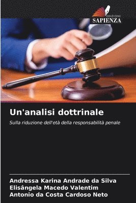 bokomslag Un'analisi dottrinale