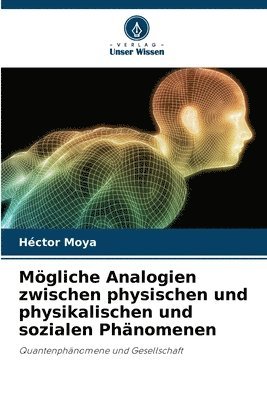 bokomslag Mgliche Analogien zwischen physischen und physikalischen und sozialen Phnomenen