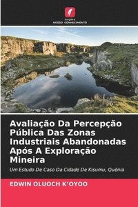 bokomslag Avaliao Da Percepo Pblica Das Zonas Industriais Abandonadas Aps A Explorao Mineira