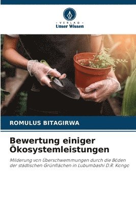 bokomslag Bewertung einiger kosystemleistungen