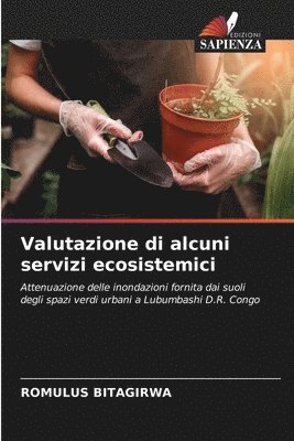 bokomslag Valutazione di alcuni servizi ecosistemici