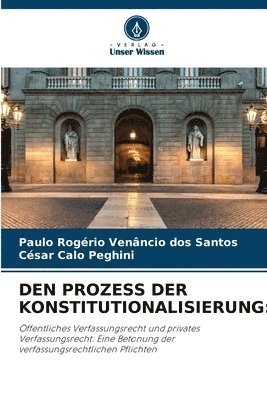 Den Prozess Der Konstitutionalisierung 1