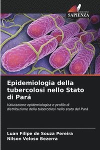 bokomslag Epidemiologia della tubercolosi nello Stato di Par
