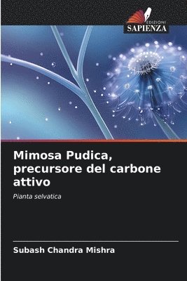 Mimosa Pudica, precursore del carbone attivo 1