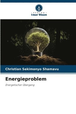 bokomslag Energieproblem