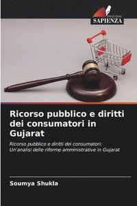 bokomslag Ricorso pubblico e diritti dei consumatori in Gujarat