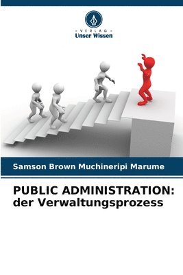 bokomslag Public Administration