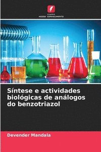 bokomslag Sntese e actividades biolgicas de anlogos do benzotriazol