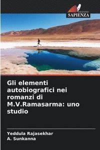 bokomslag Gli elementi autobiografici nei romanzi di M.V.Ramasarma