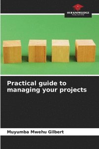 bokomslag Practical guide to managing your projects
