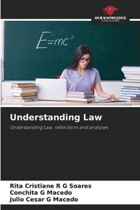 bokomslag Understanding Law