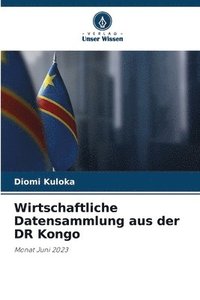 bokomslag Wirtschaftliche Datensammlung aus der DR Kongo