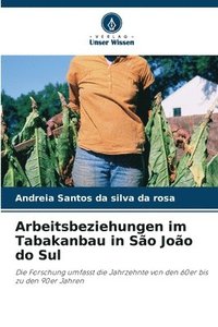 bokomslag Arbeitsbeziehungen im Tabakanbau in So Joo do Sul