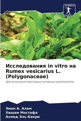 &#1048;&#1089;&#1089;&#1083;&#1077;&#1076;&#1086;&#1074;&#1072;&#1085;&#1080;&#1103; in vitro &#1085;&#1072; Rumex vesicarius L. (Polygonaceae) 1