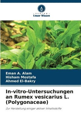 bokomslag In-vitro-Untersuchungen an Rumex vesicarius L. (Polygonaceae)