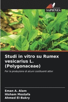 Studi in vitro su Rumex vesicarius L. (Polygonaceae) 1