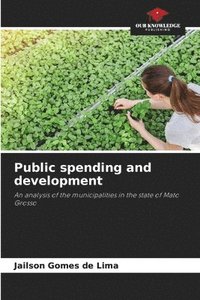 bokomslag Public spending and development